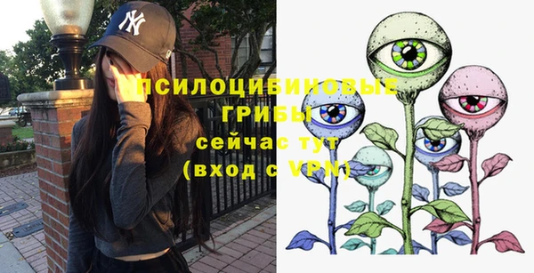 мяу мяу мука Абаза