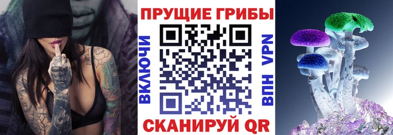 Галлюциногенные грибы Psilocybe  KRAKEN как войти  Ивантеевка 
