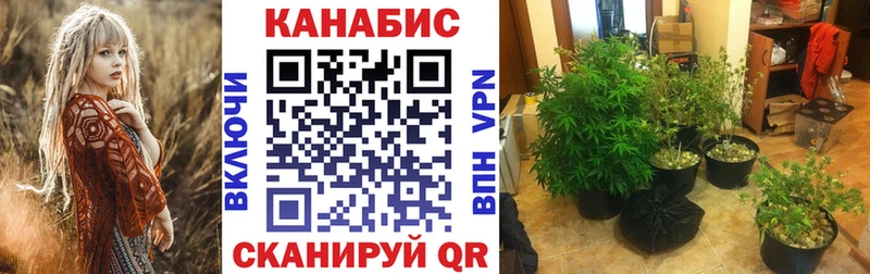 Бошки Шишки SATIVA & INDICA Ивантеевка